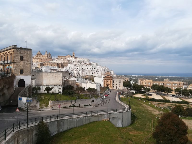 La margherita della Valle d’Itria