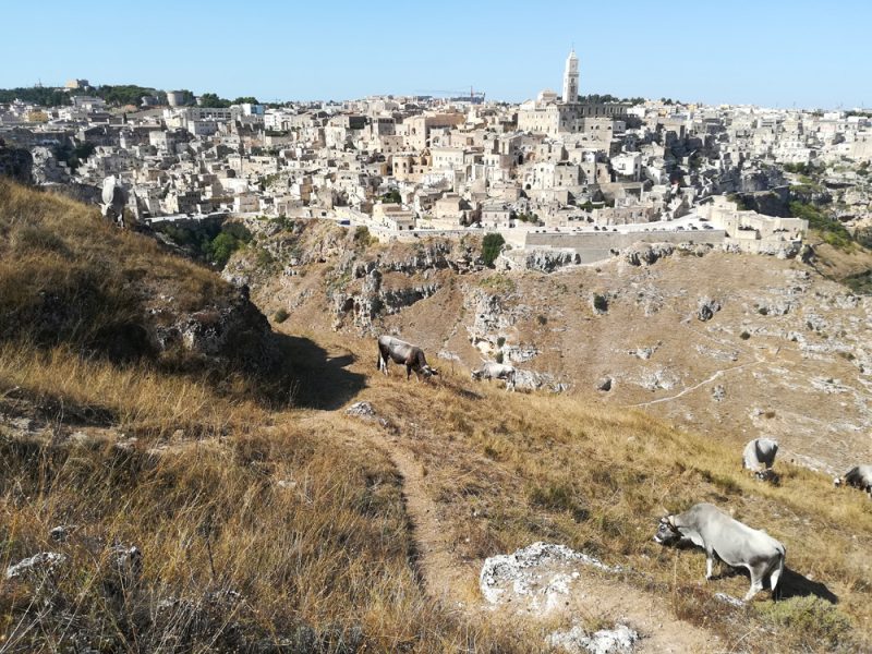 L’anello pugliese con vista Matera