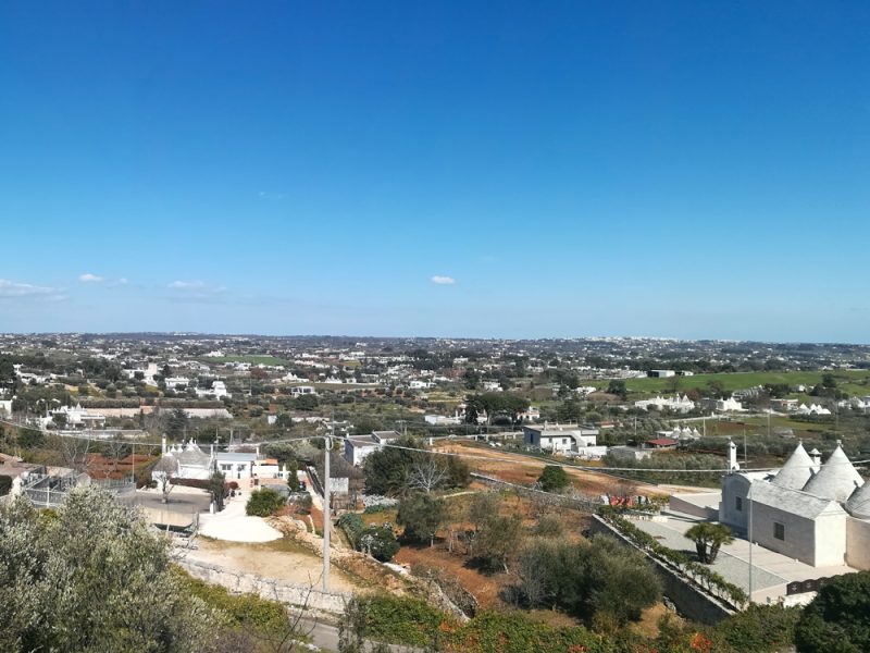 La margherita della Valle d’Itria