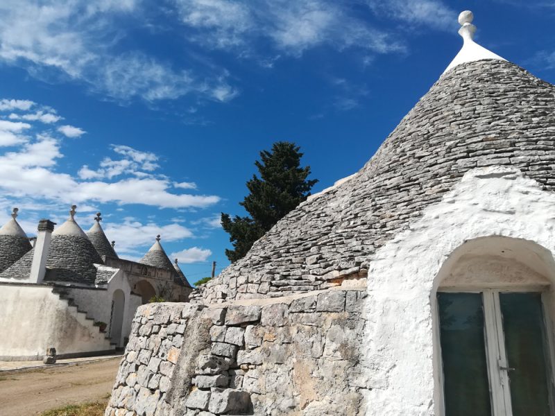 La margherita della Valle d’Itria