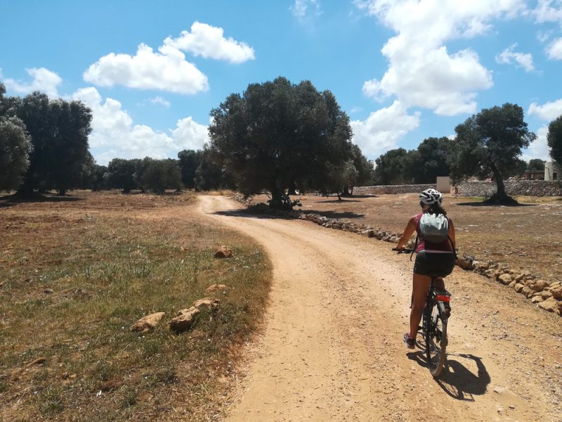 La margherita dell'Alto Salento
